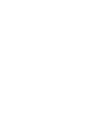 VVZ-Band